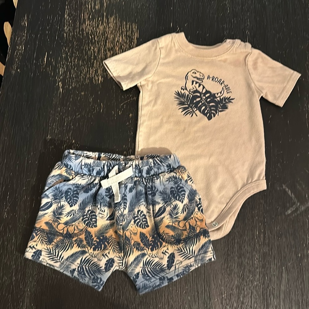 Garnimals dinosaur matching set 12 months summer